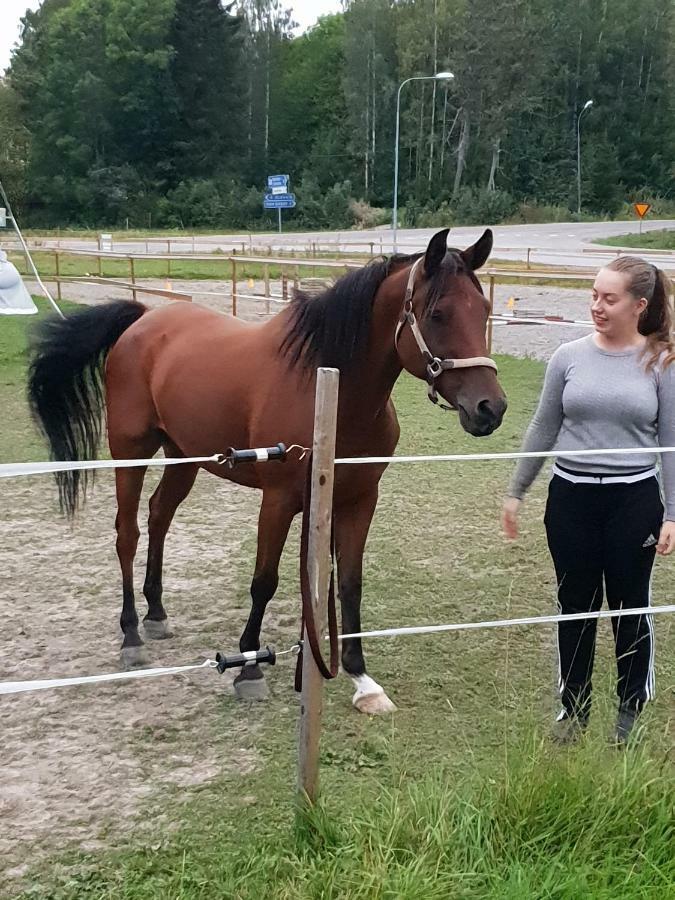 Myskje Gard Gastgiveri Soderala Exterior foto