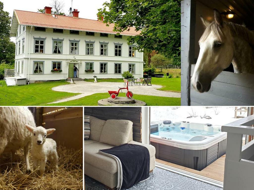 Myskje Gard Gastgiveri Soderala Exterior foto